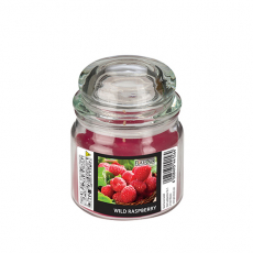 Flavour by GALA Bonbonglas mit Wachsfüllung, MAXI Ø 90 mm · 120 mm weinrot - Wild Raspberry