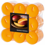 18 Flavour by GALA Duftlichte Ø 38 mm · 24 mm pfirsich - Mango-Papaya in Polycarbonathülle